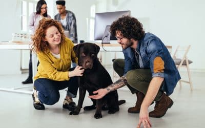 Quelle est la place des animaux de compagnie en entreprise en 2022 ?