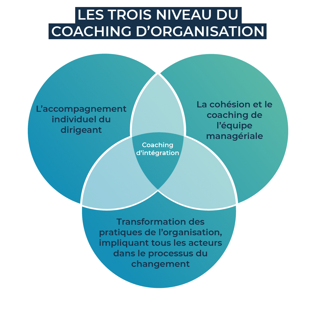 LES TROIS NIVEAU DU COACHING D’ORGANISATION